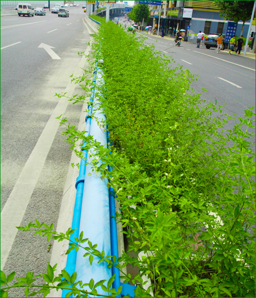 玻璃钢高架花盆